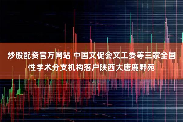 炒股配资官方网站 中国文促会文工委等三家全国性学术分支机构落户陕西大唐鹿野苑